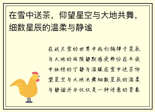 在雪中送茶，仰望星空与大地共舞，细数星辰的温柔与静谧