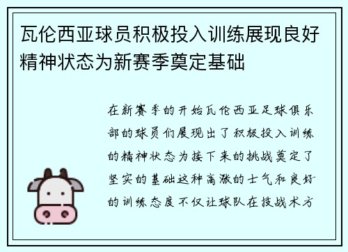 瓦伦西亚球员积极投入训练展现良好精神状态为新赛季奠定基础