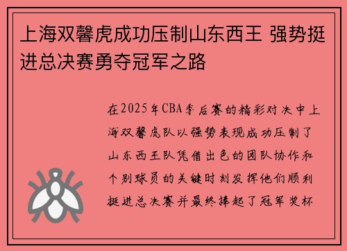 上海双馨虎成功压制山东西王 强势挺进总决赛勇夺冠军之路